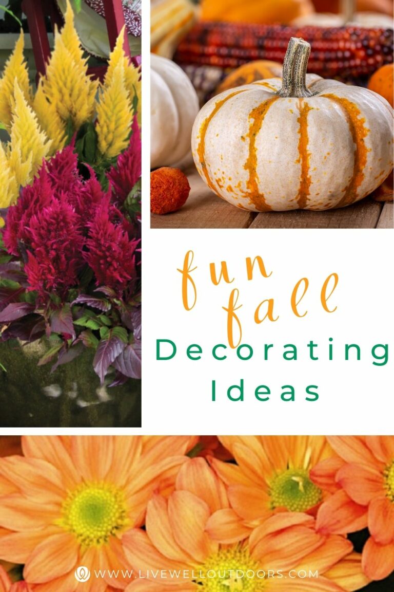 Fall Décor for Your Outdoor Living Spaces – LiveWell Outdoors