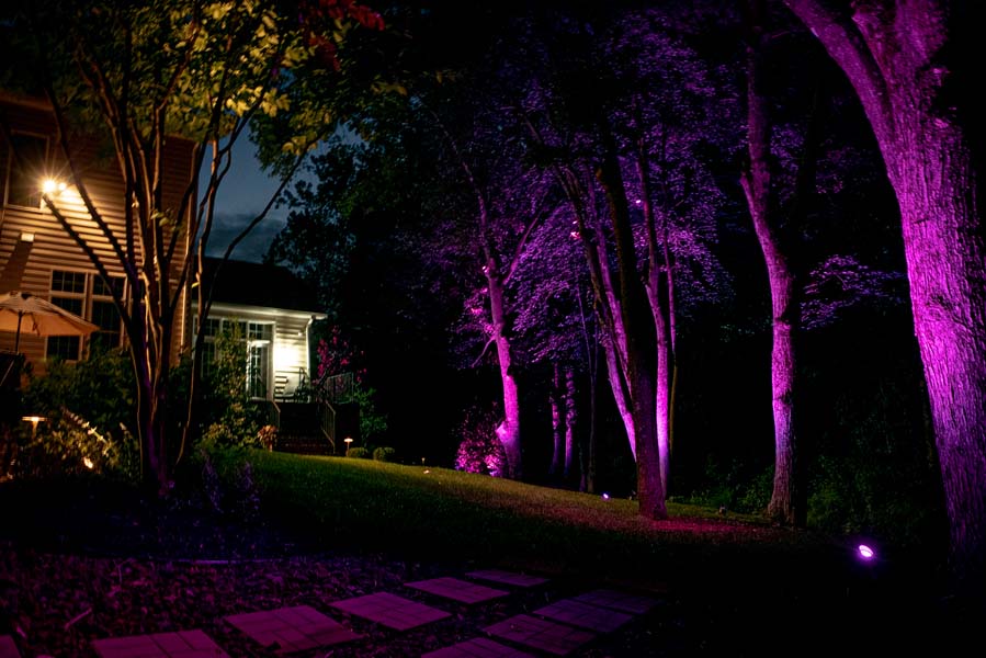Purple Outdoor lighting of trees along walkway