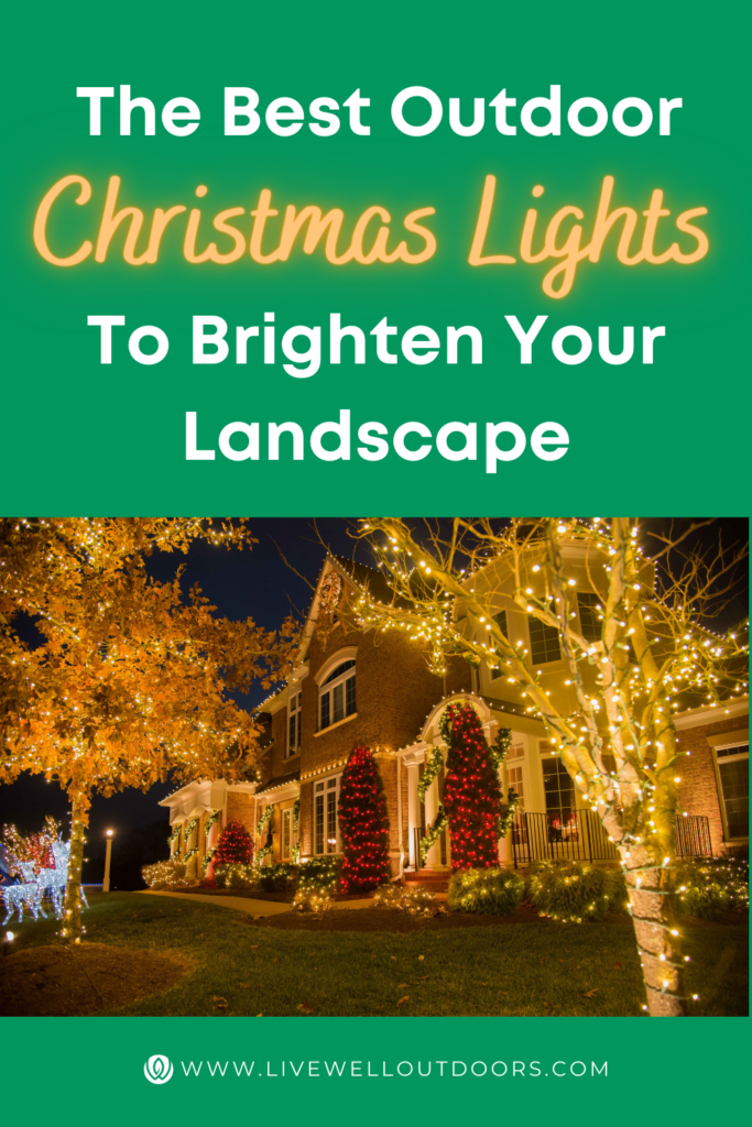 The Best Outdoor Christmas Lights to Brighten Your Landscape Live