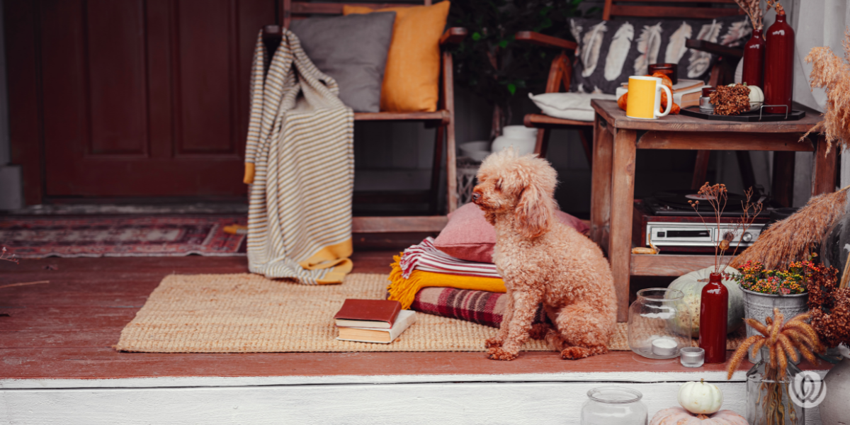 fall porch 