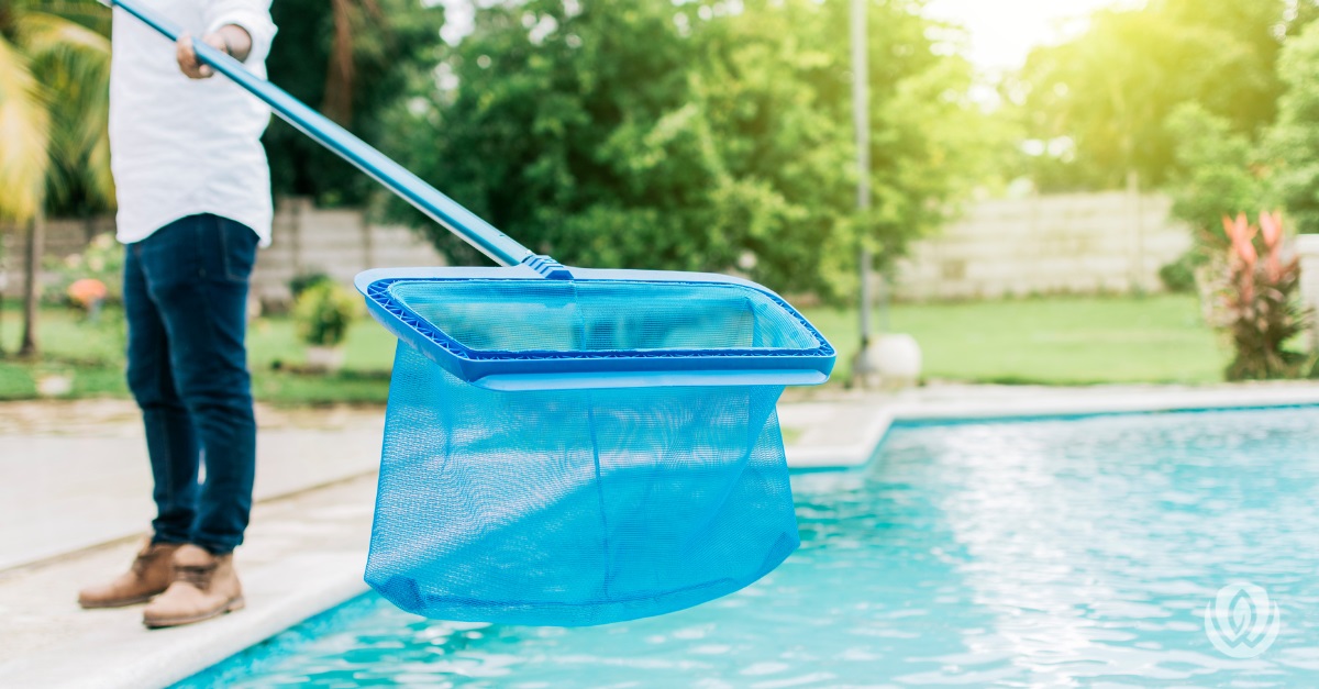 pool skimmer