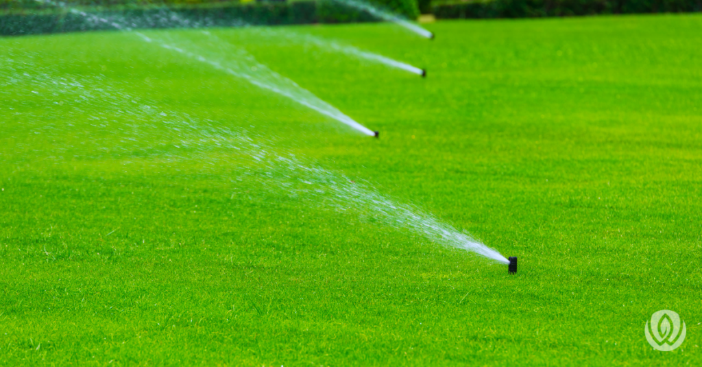 Sprinkler system in backyard