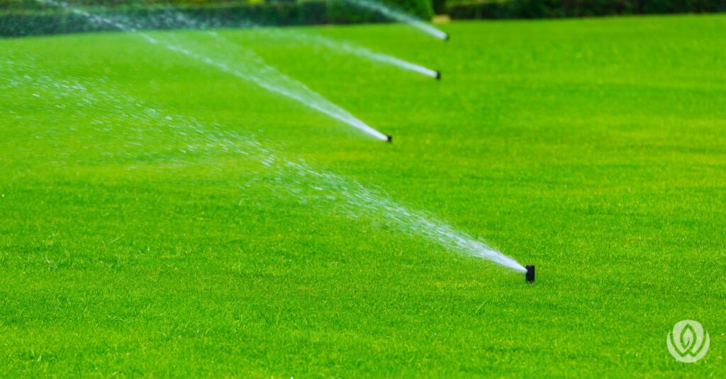 Sprinkler system in backyard