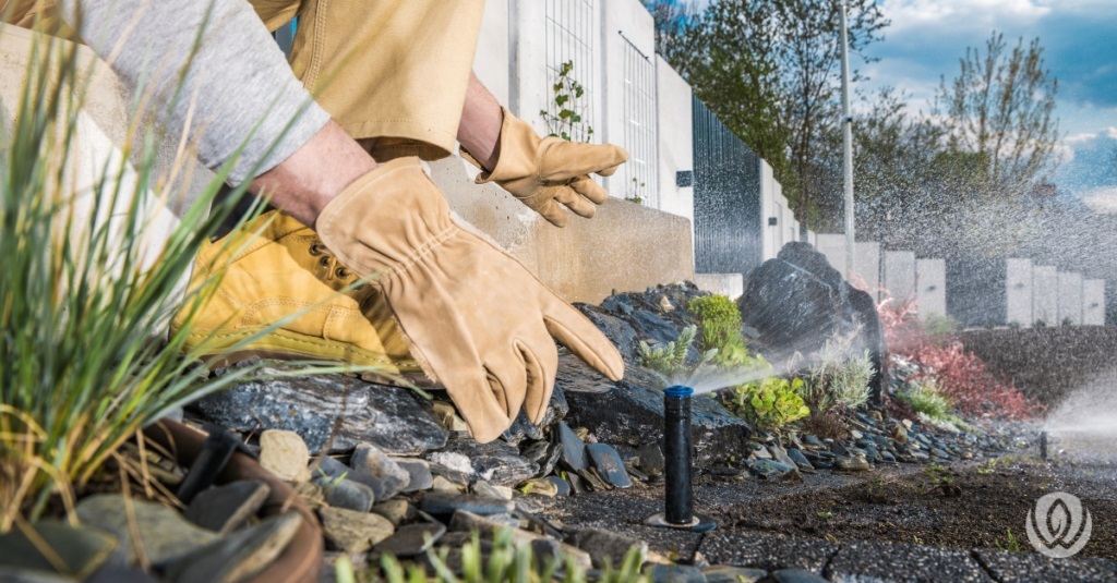 woman designing backyard garden