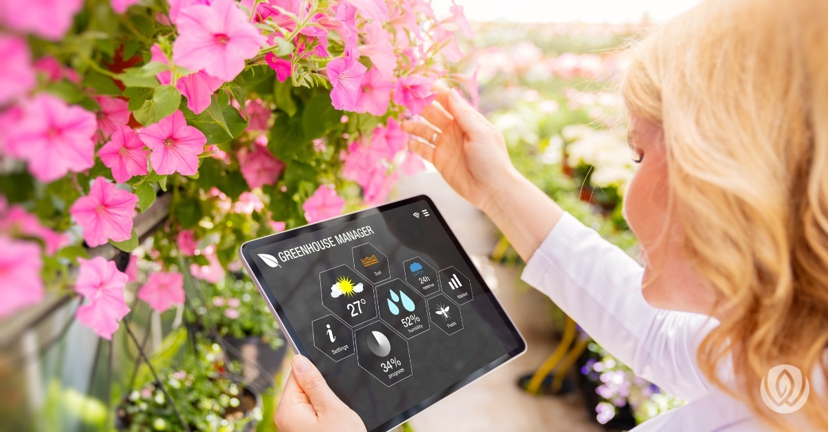 homeowner using garden smart technology