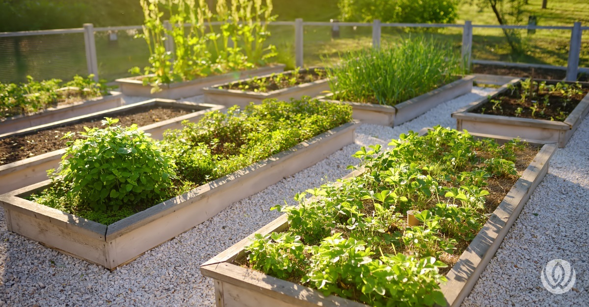 sustainable garden design