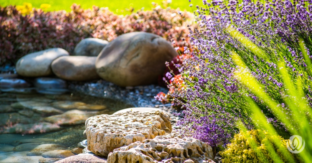 Hardscape and Softscape garden balance