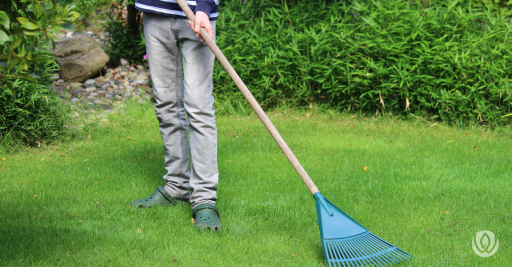 raking for spring lawn care