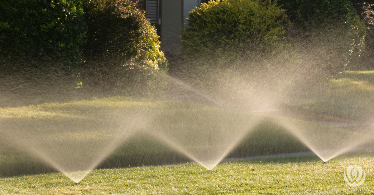 sprinkler system