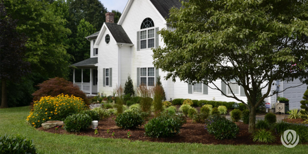 Front yard landscaping with shrubs and garden beds